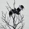 2ft. Pre-Lit Artificial Halloween Black Spooky Twig Tree with Bats and 40 Orange & Purple LED Lights
